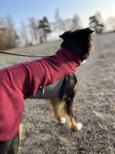 IMG_3696